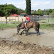 Pony Camp, Day 1